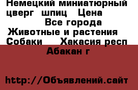 Немецкий миниатюрный(цверг) шпиц › Цена ­ 50 000 - Все города Животные и растения » Собаки   . Хакасия респ.,Абакан г.